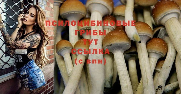 jwh Баксан