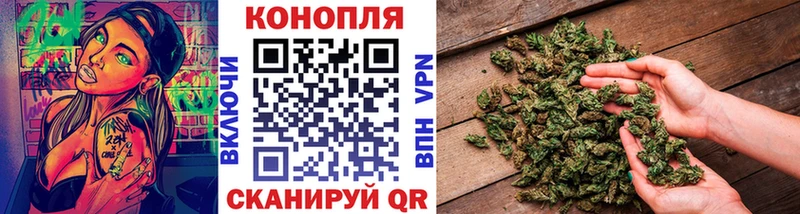 blacksprut онион  Топки  Шишки марихуана сатива 
